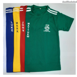 Secondary Sport T-Shirt ( Red,Blue,Green,Yellow)